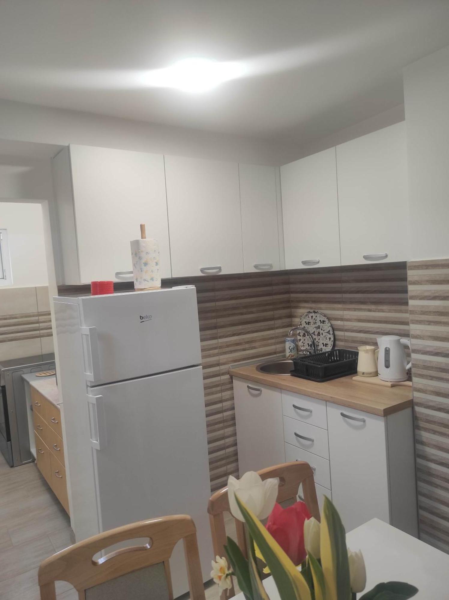 Andrea Airport Apartments Belgrad Rum bild
